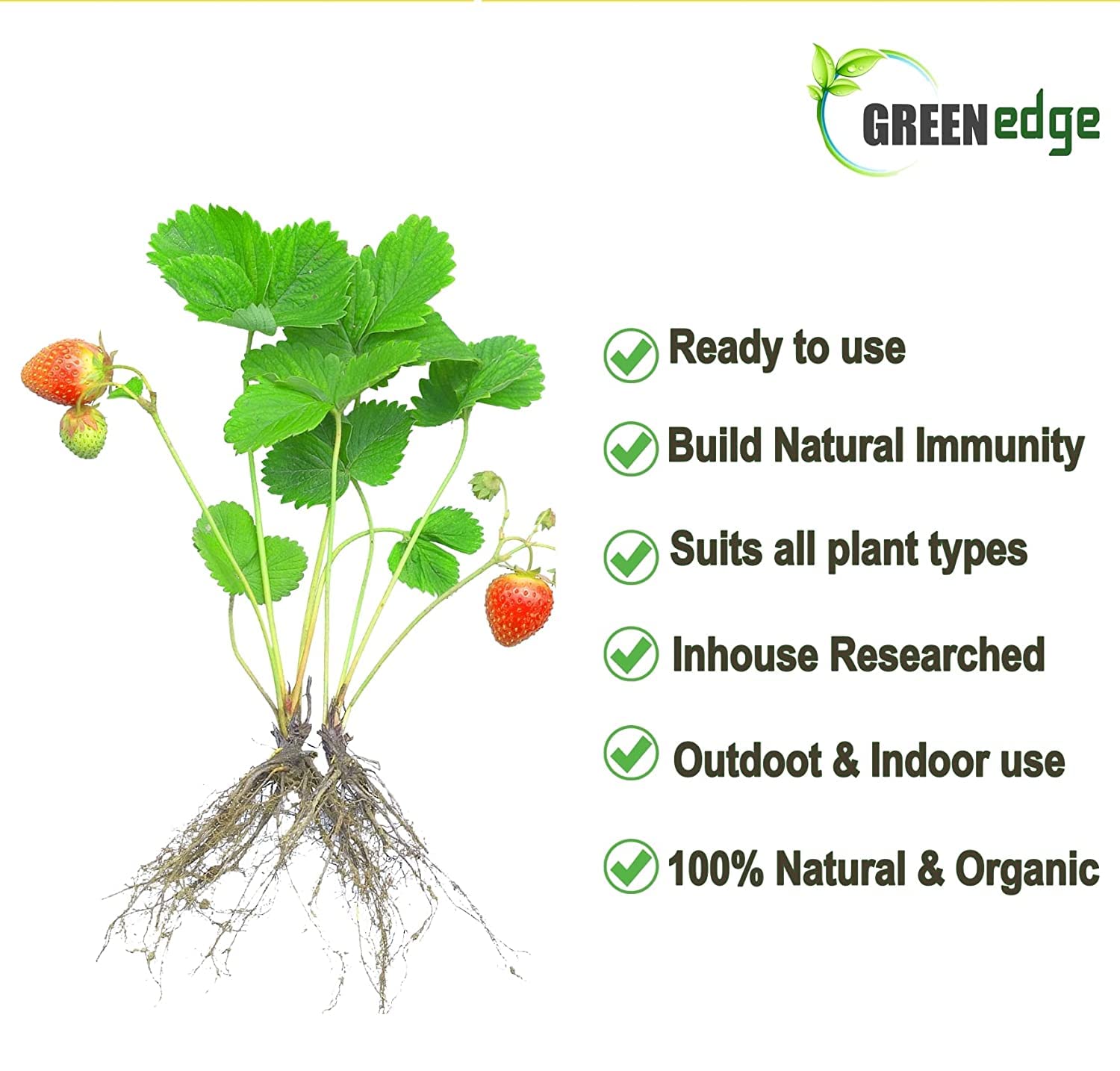Greenedge Organic Liquid Seaweed Tonic-5 Litres-Concentrate for Flowering-Fruiting-Complete Soil Nourishment-5L-Stumbit Gardening
